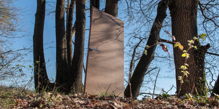 porte-AIP-solo-legno-Essenza_C