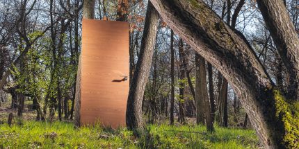 porte-sololegno-porte-cirie-Ideale